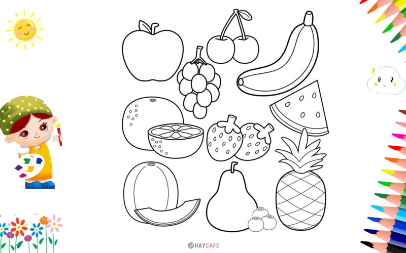 Quả cam Canh giá bao nhiêu trên thị trường ? | Fuji Fruit | Hệ thống hoa quả  sạch nhập khẩu Fuji